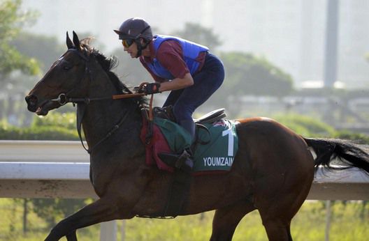 Youmzain working at Sha Tin this morning