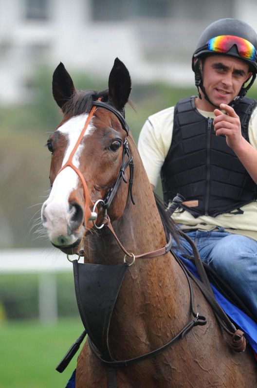 Duff working ahead of The Hong Kong Mile 