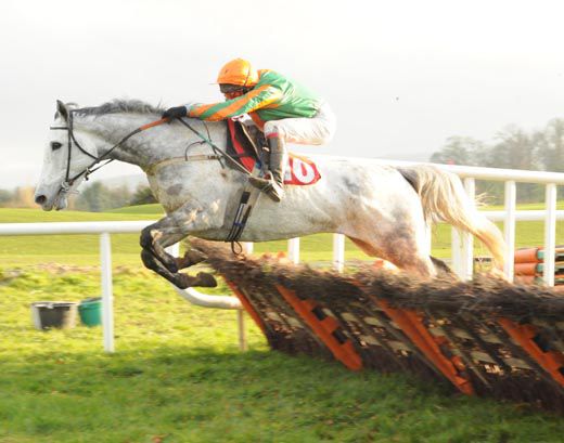 Kot's Terry in action at Gowran