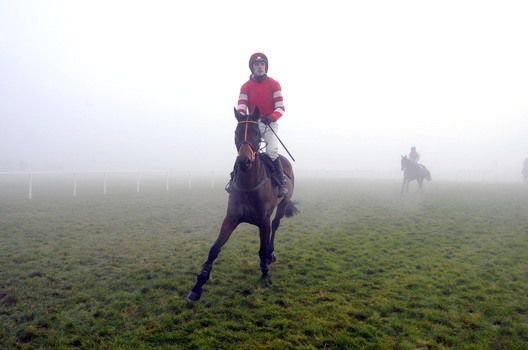Cooldine in the fog at Leopardstown on Monday