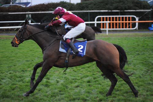 Robbie McCarth and Scavenger winning for trainer Mouse Morris