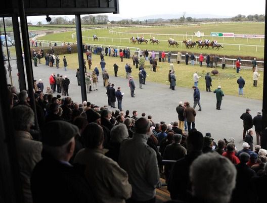 A view from the stands at Thurles Racecourse