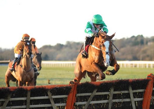 Goidelic, under Declan Bates, wins at Cork