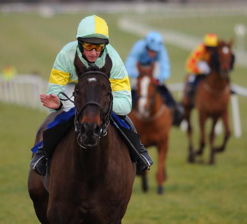 Mighty Bob wins under Conor Maxwell