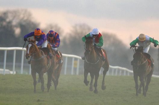 Miss Parkington (white face) battles on best   to win Punchestown bumper