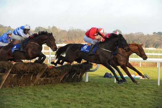Puyol (red colours) lands in the lead at the last in the MCR Hurdle