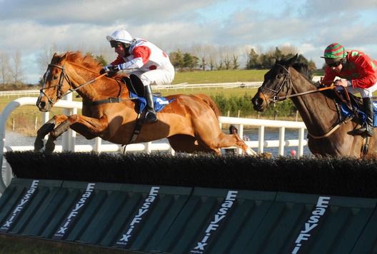Ballyvoile and Ken Whelan fly the last at   Limerick to fend off Mr Clyde