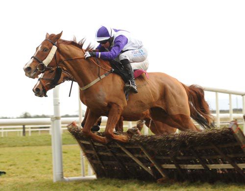 Ned Of The Hill leads at the last under   Robbie  Moran