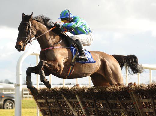 Mr Clyde and Stevie Gray clear the last in   style