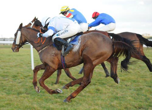 Sharekan (nearside) comes to swamp   Bideford Legend (middle) & Rock Diplomat