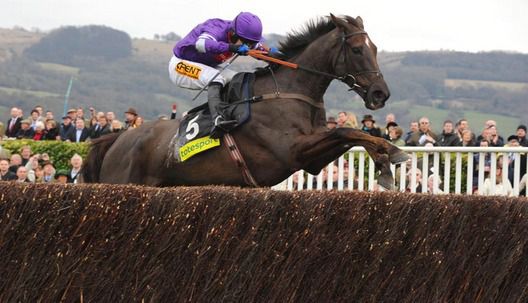 Gold Cup second favourite Denman