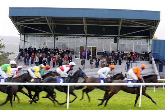 Racing past the stands at Clonmel