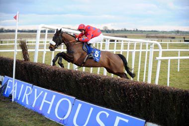 Nedzer's Return and Colin Motherway pops the last to win for trainer Gordon Elliott 