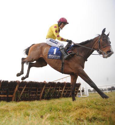 Hellyhunter lands over the final flight under Ruby Walsh