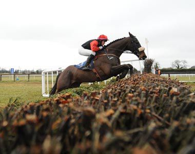 Kimberlite King jumps the last at Fairyhouse, enroute to providing Matt O'Connor with his comeback winner