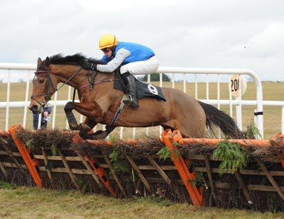 Rating Queen & Emmet Mullins have things sewn up at Thurles