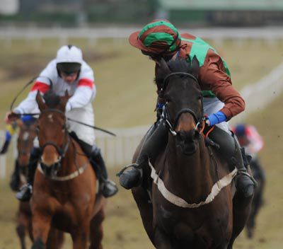 Damien Skehan on Bubbly Bruce looks back   at the vanquished Octavin & Patrick Mullins