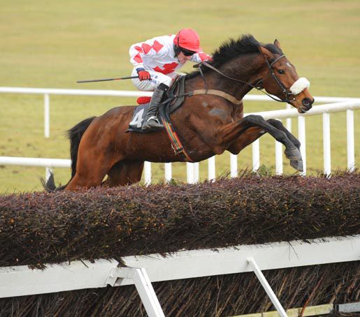 Majestic Oak clears the last