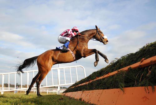 Stewarts House clears the last 