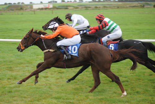 Tavern Times (nearside) came out of his Cheltenham race very well