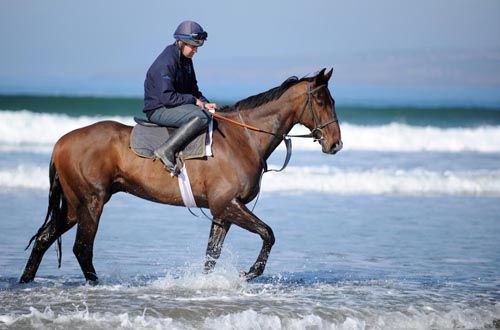 Forpadydeplasterer on Banna Beach