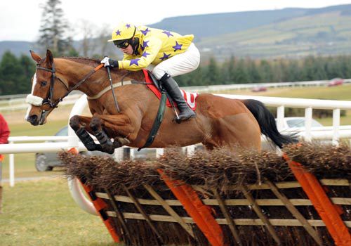 Ambitious Fan and Mark Walsh pops the last to win for trainer Matthieu Palussiere 