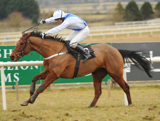 Carlowsantana and Bobby Molloy 