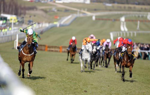 View Champion Hurdle