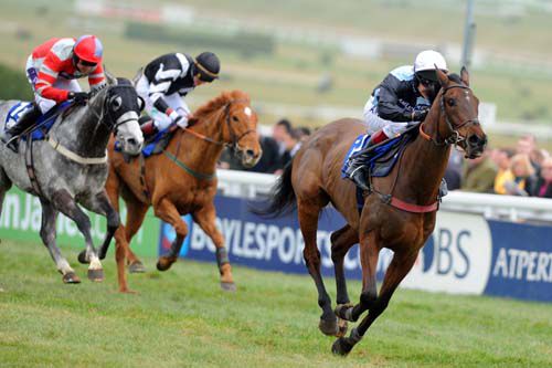 Copper Bleu beats off Othermix (grey) &   The Midnight Club