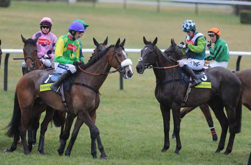 Kauto Star and Denman