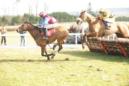 Farringdon leads at the last but not at the   line as Plaisir D'Estruval chases him down