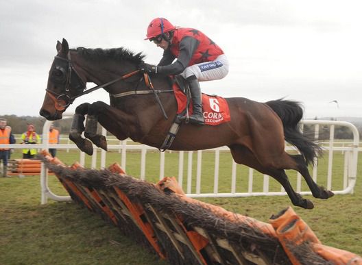 Kusadasi in full flight under Ruby Walsh at Cork