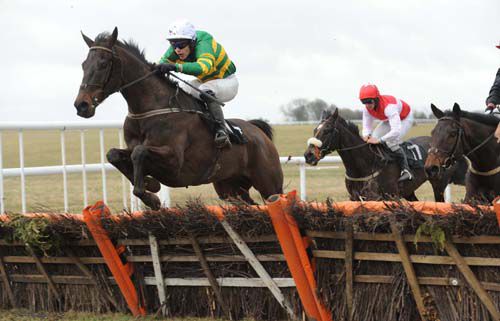 Cochise and Johnny Levins clearing the last hurdle to win at Thurles for trainer Shane Broderick 
