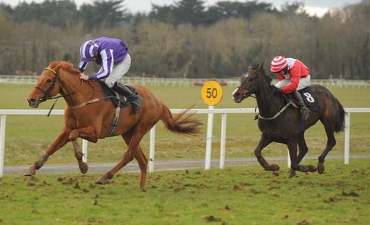Stony Grey Soil and Eddie Power beat The Sneezer at Cork