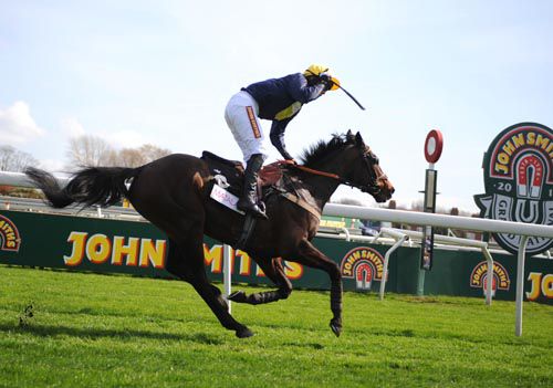 Davy Condon celebrates winning on Orsippus 