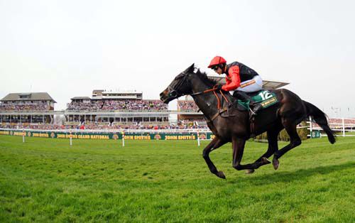 Tataniano & Ruby Walsh on the way to an impressive win