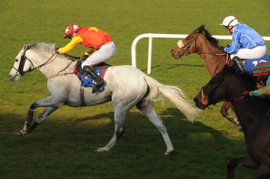 Jack Absolute (leading) gallops to victory.