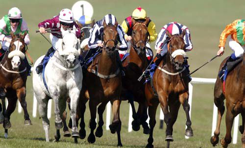 Velvet Flicker and Chris Hayes right noseband comes through a gap to win from Luisant right and Snaefell