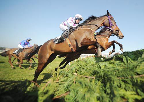 Hatton's Wood (purple bridle) clears a fence full of style at Tramore