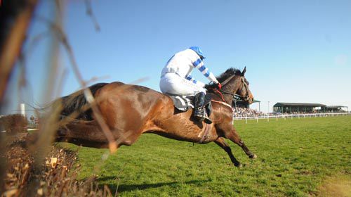 Turtle Gale flies the last on the way to victory at Tramore