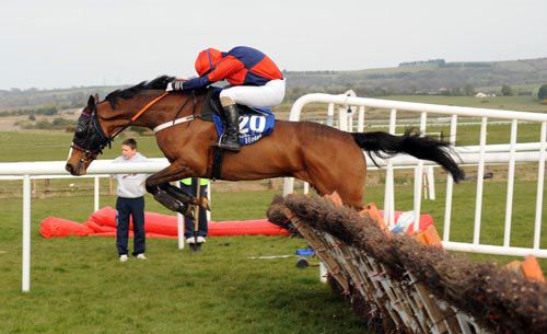 Prince Rudi and Bobby Molloy pops the last to win for trainer Stephen Nolan 