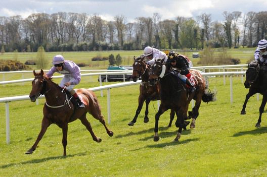 Non Tiscordardime and Martin Harley win for trainer Niall Moran