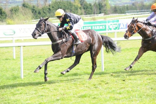 Dillinata and Padraig Beggy win for trainer Patrick Cody