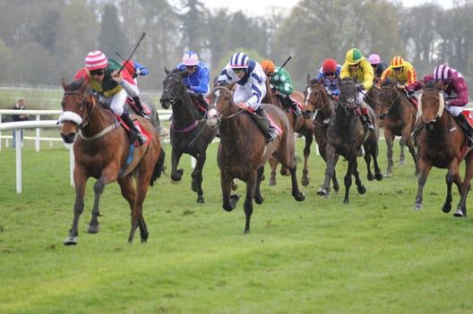 Cul Ar Dun and Sean Levey winning for trainer John Murphy
