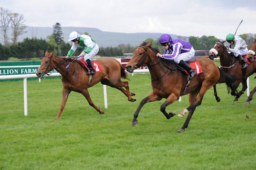 Michael Cleere and Always Be True (near) get the better of stablemate Chorus Of Angels