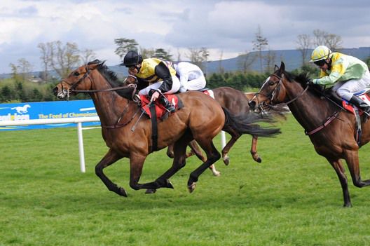 Keith Maher and Mon Champion score for trainer Pat Flynn