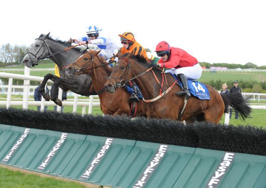 Ach Aye Surely (far side) jumps to the front at the last under Alain Cawley