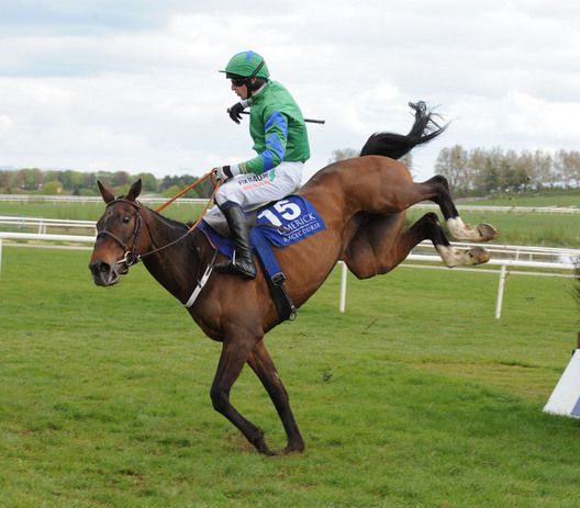 The unfortunate Trimbellina falling at the last, leaving Cruising Katie to score