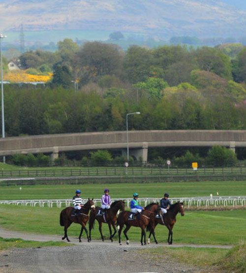 Racing at the Curragh today