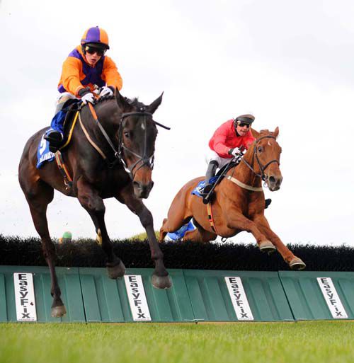 Cyborg (red) and Robbie McCarth clear   the last to win 